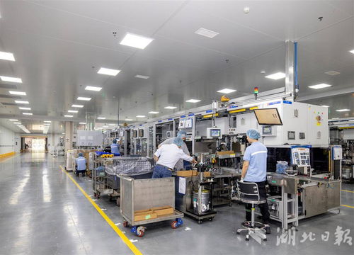 世界500強(qiáng)采埃孚五年三度追投，武漢成其軟件戰(zhàn)略布局核心